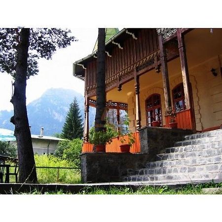 Casa Frasin Hotel Buşteni Екстериор снимка